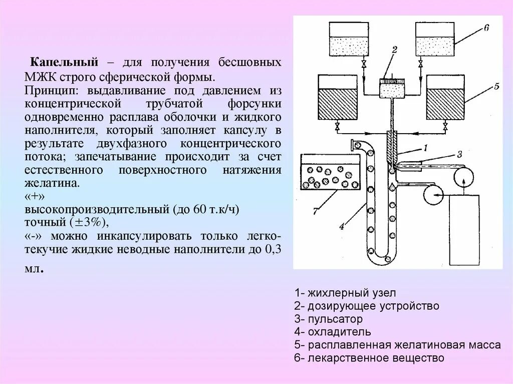 Технологическая схема производства мягких капсул Технологические линии приготовления и фасовки ягоды, протёртой с сахаром. Модель