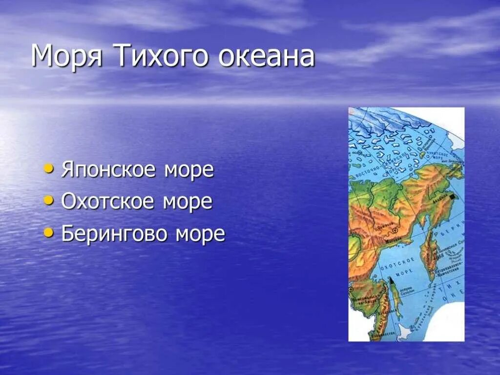 Выбери моря тихого океана