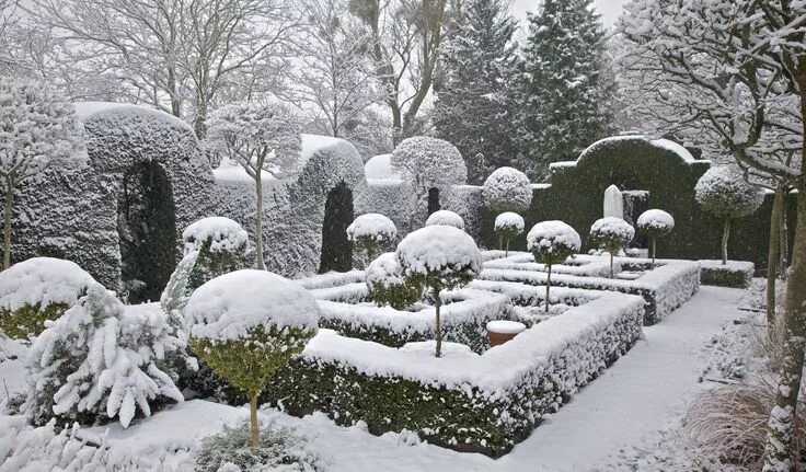 Pin by Nancy Arone on Nippon Winter garden, Nature photos, Landscape