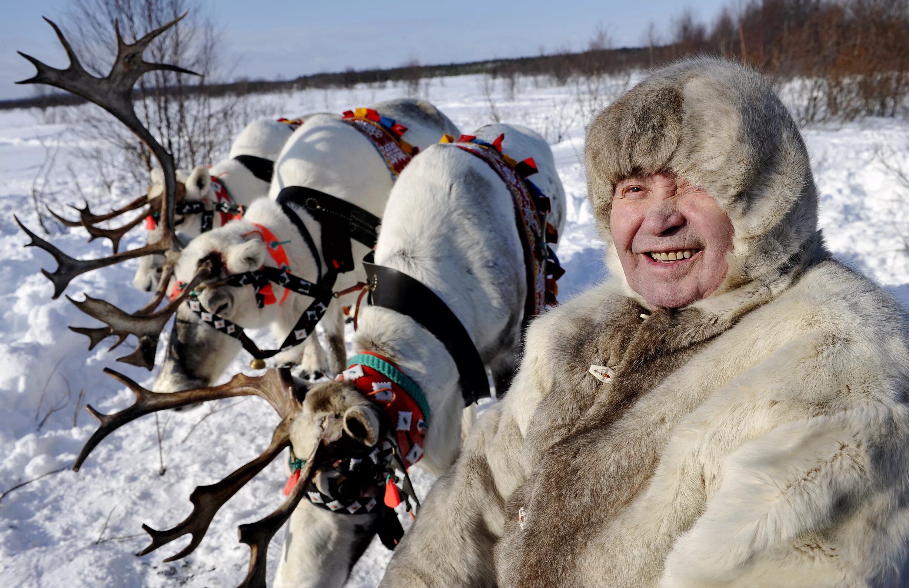 Самый малочисленный народ севера. Саамы оленеводы. Саамы Кольского полуострова. Саамы и ненцы. Саами Кольский полуостров.