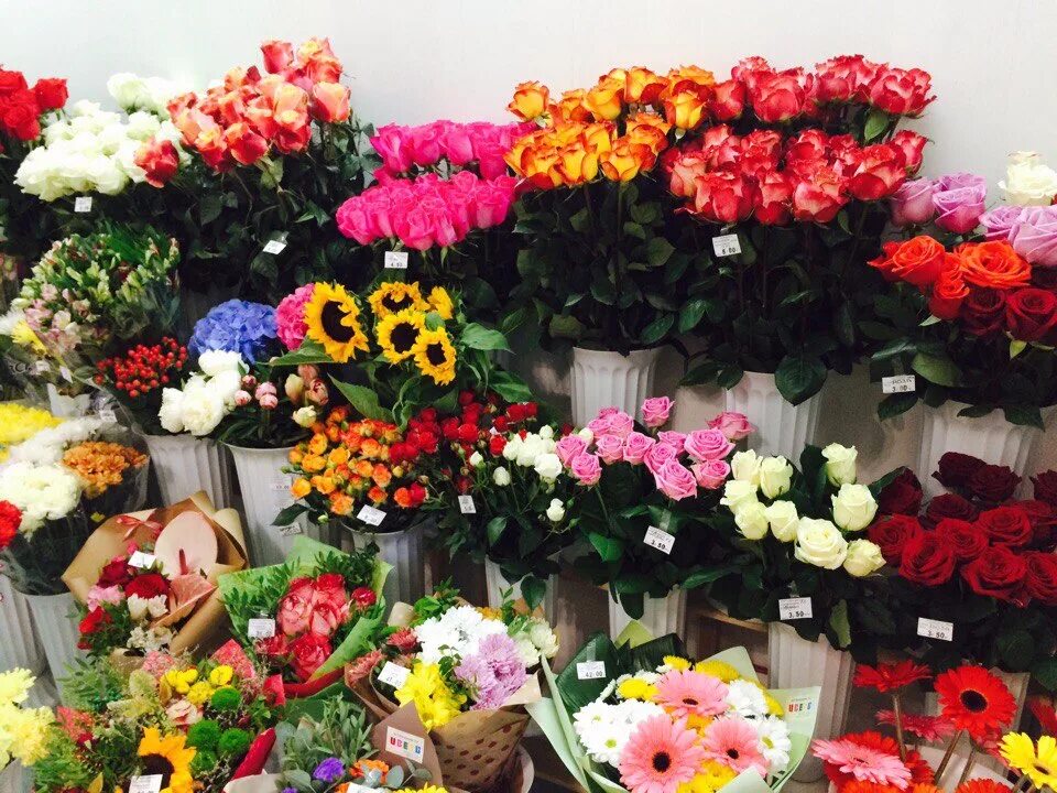 Цветочный магазин экзотические цветы. Цветы магазинные. Живые цветы в магазине. Цветы в цветочном магазине. Букеты цветов в магазине.