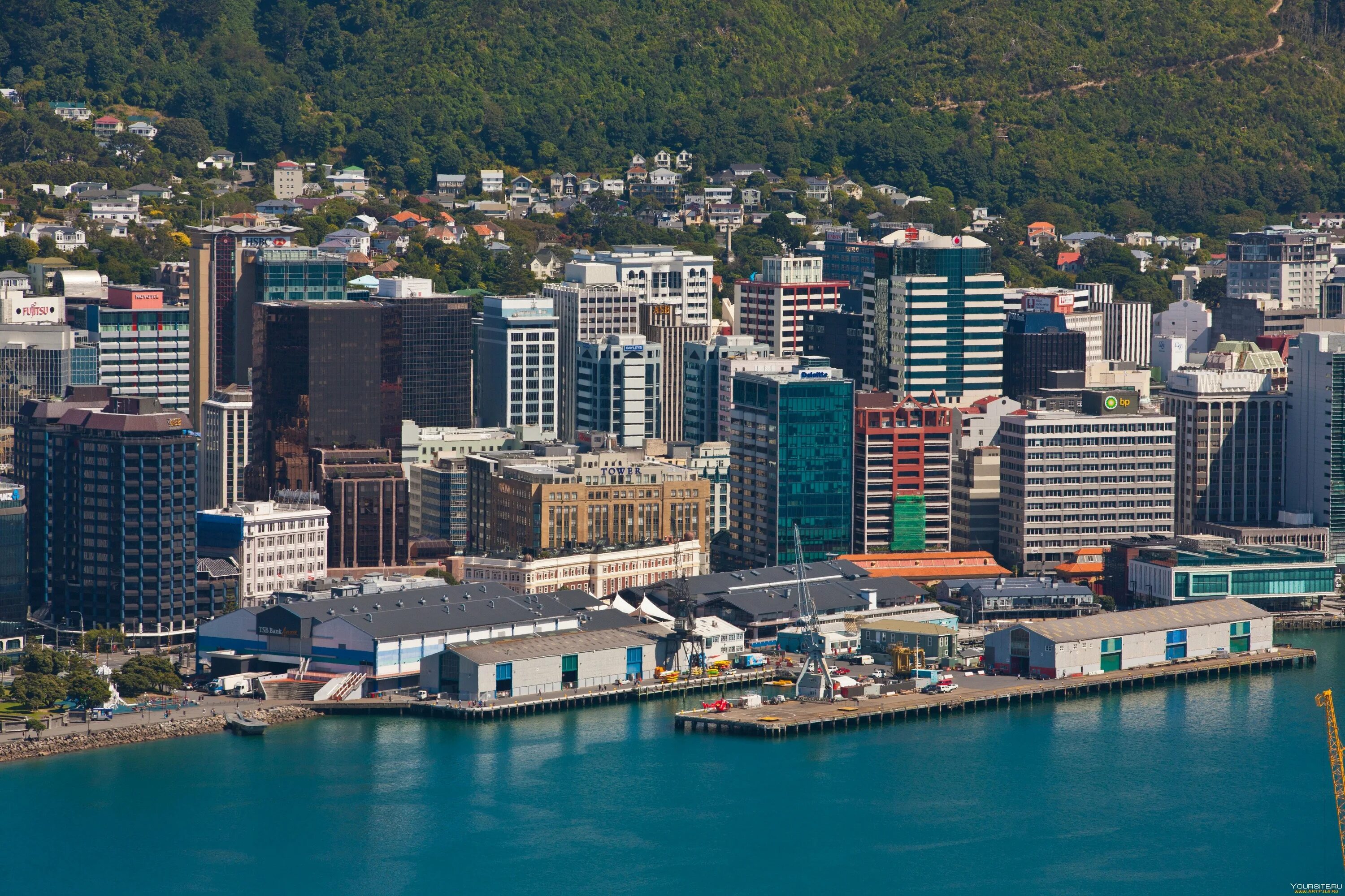 Веллингтон (новая Зеландия). Столица новой Зеландии (Wellington). Новая Зеландия Веллингтон Окленд. Новая Зеландия Веллингтон улицы. Wellington new zealand