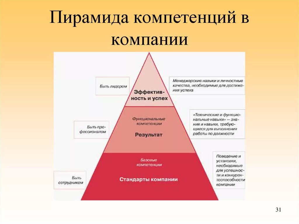 Пирамида компетенций. Модель компетенций компании. Развитие компетенций персонала в организации. Управление компетенциями. Тип управленческих полномочий