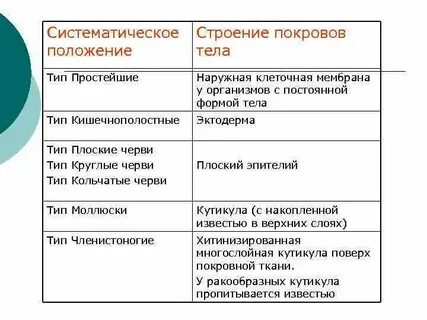 Какие покровы у простейших