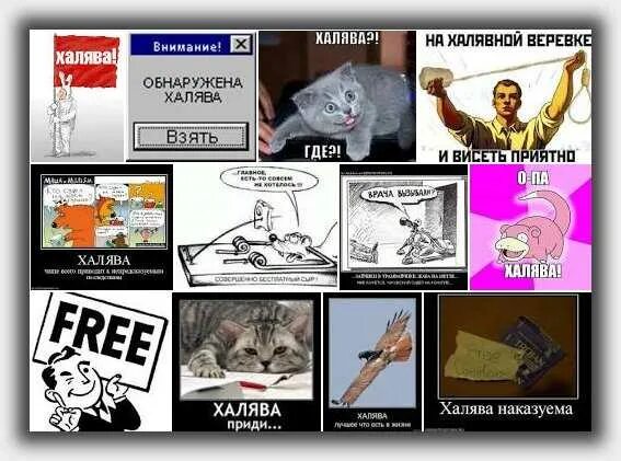 Как получить такая халява. Халява на работе. халява взять. халява в интернете. чужое халява взять взять.