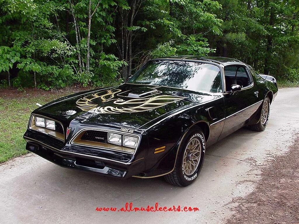 Pontiac firebird 3. Pontiac firebird 1982.