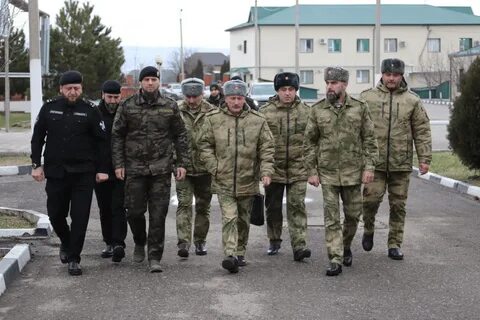 Зама чеченская