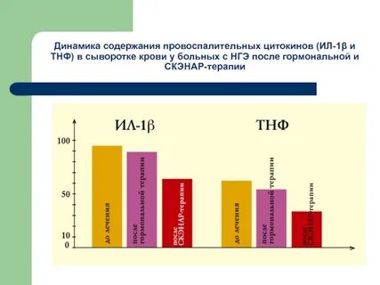 Результаты нгэ 2024