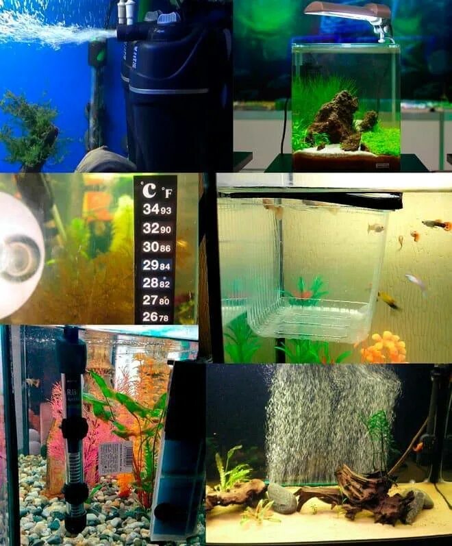 Рыбки для аквариума 50 литров. Аквариум 60 литров. Рыбки для аквариума 50 литров. Рыбки для аквариума 20 литров. Аквариум 112 литров.