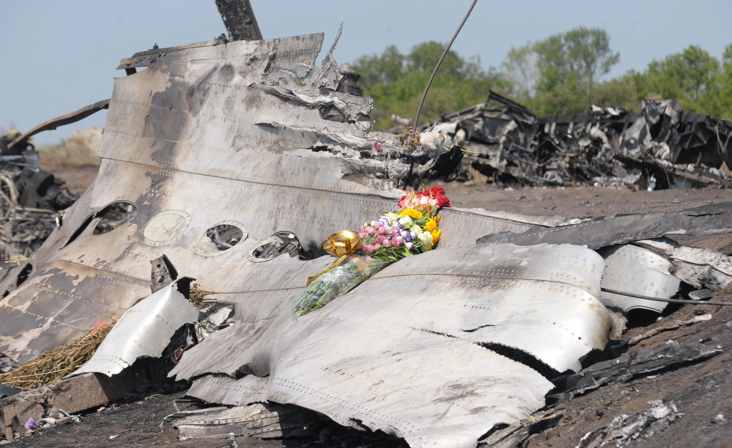 2014 сбит боинг. Катастрофа malaysia airlines mh17. боинг 777 малайзия mh 17 до катастрофы. сбитый малазийский боинг 2014.