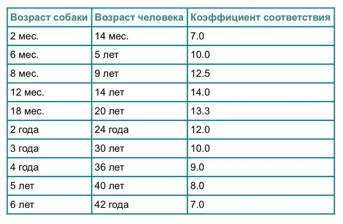 Сколько лет до 15 июля. Возраст собак таблица соотношения. Таблица возраста собак по человеческим меркам мелких пород. Таблица жизни собак на человеческий Возраст. Возраст собаки в человеческих годах таблица дворняга.