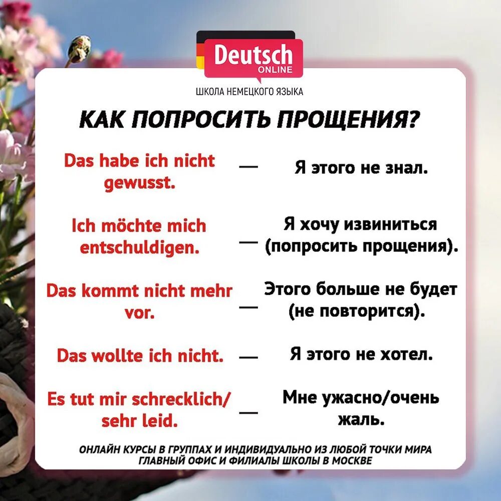 Добрый по немецки перевод. Фразы на немецком языке. приветствие на немецком. фразы приветствия по немецки. полезные фразы на немецком.