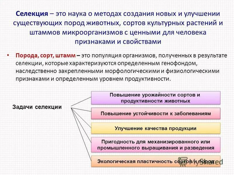 Наука создания новых пород и сортов