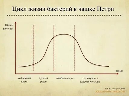 Жизненный цикл энергии