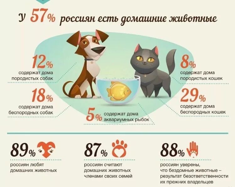 Какого питомца хочешь