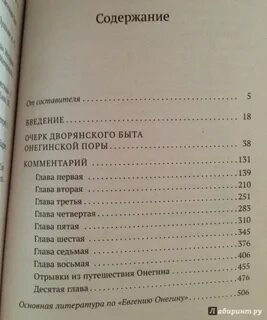 За сколько можно прочитать онегина
