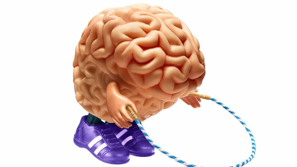 Лоуренс Кац нейробика. Память человека. Нейробика упражнения для мозга. Нейробика человечки мозг.