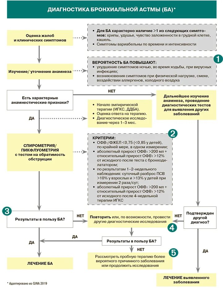 Опросник по контролю астмы acq. Тест по контролю над астмой. Аст опросник при бронхиальной астме. Клинические симптомы бронхиальной астмы. Опросник контроля бронхиальной астмы.