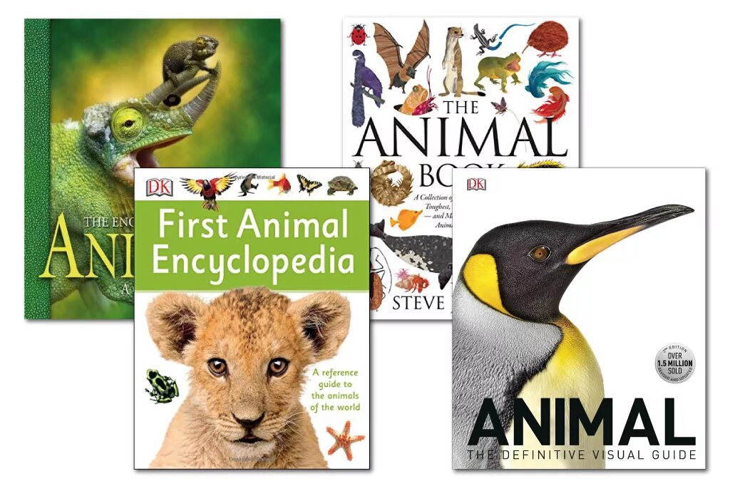 Книга animals. Animal World книга. The animal book. Книга энциклопедия. Книга animals animals