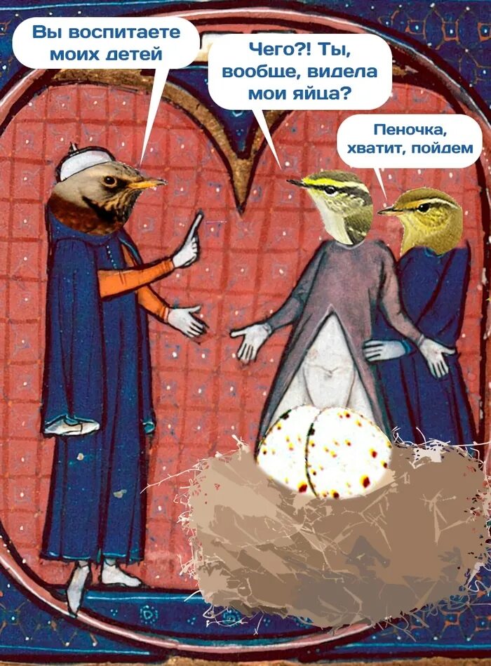 Мемы с колей. Обиженка коля. Коля средневековье. Хватит коля раздался. Страдающее средневековье яйца.