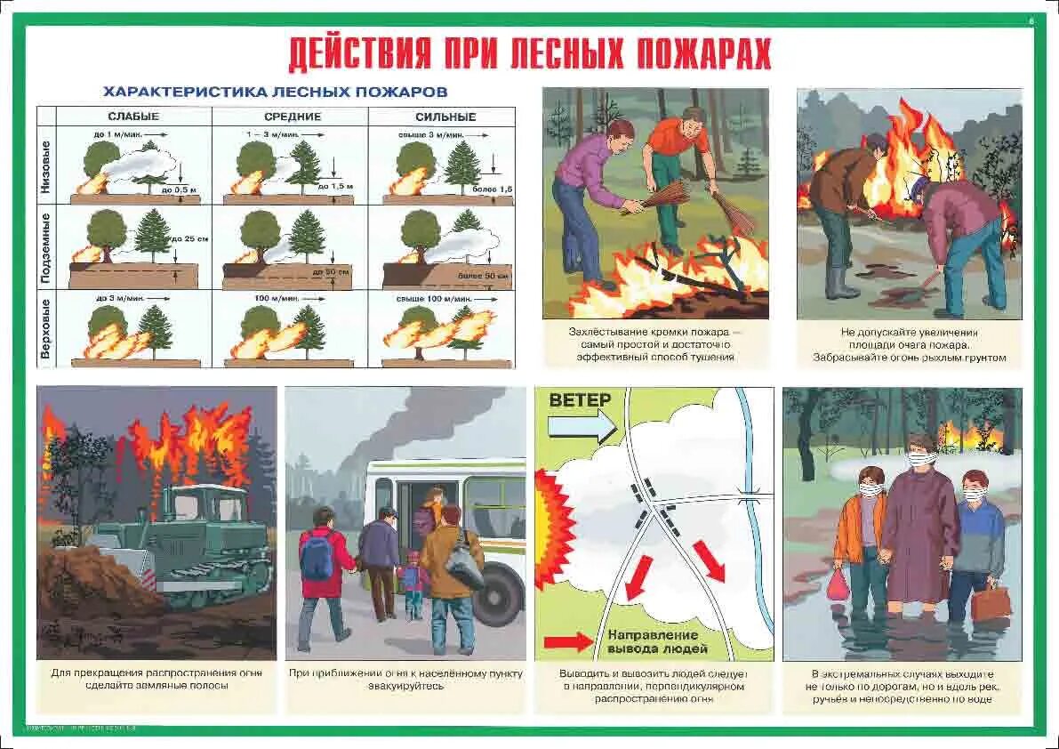 Памятка поведения населения при лесных пожарах. Действия при природном пожаре. Действия при Лесном пожаре. Алгоритм действий при Лесном пожаре. Как вести себя во время стихийных бедствий