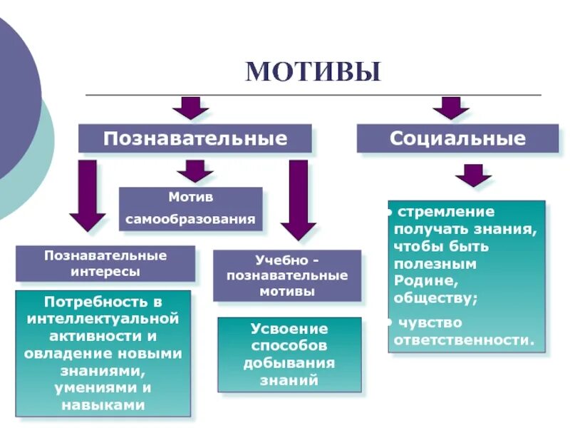 К социальной мотивации относятся. Социальные и Познавательные мотивы. Социальные и Познавательные мотивы учебной деятельности. Виды мотивации. Познавательная и социальная мотивация.