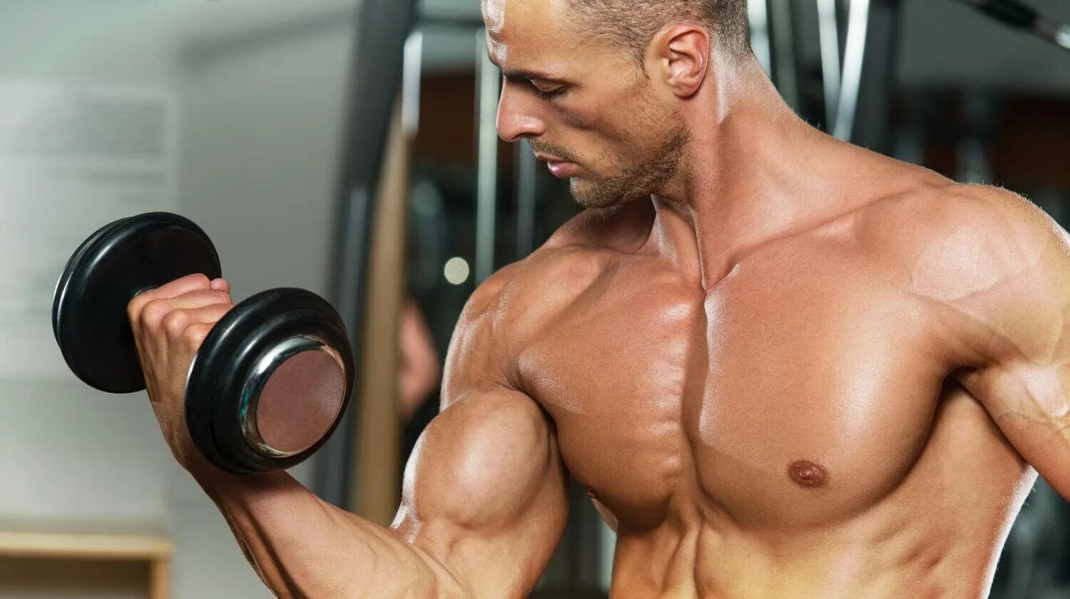 Рельеф бицепса. Накаченный бицепс. Бицепс бицепс и трицепс. Мускулистая рука. Mass training.