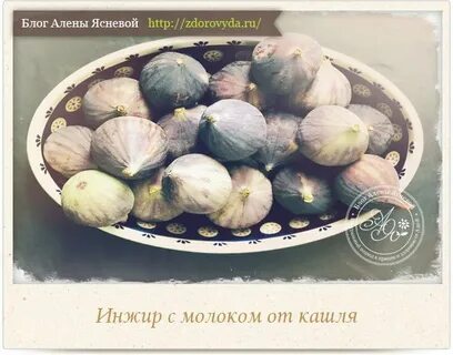 Сушеный инжир от кашля