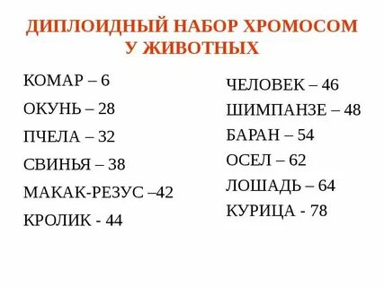Сколько хромосом в листе огурца