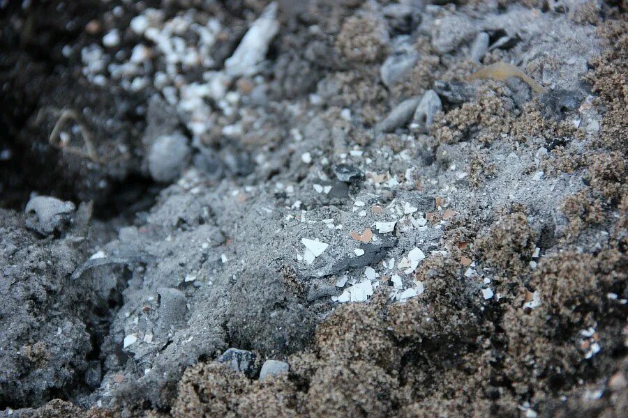 Полевой грунт. Мелкодисперсный грунт. Плодородная земля серая. Почему земля серая. Серые почвы.