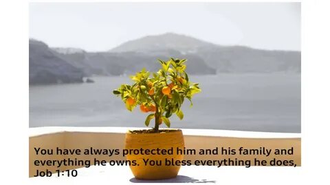 Nature holiday