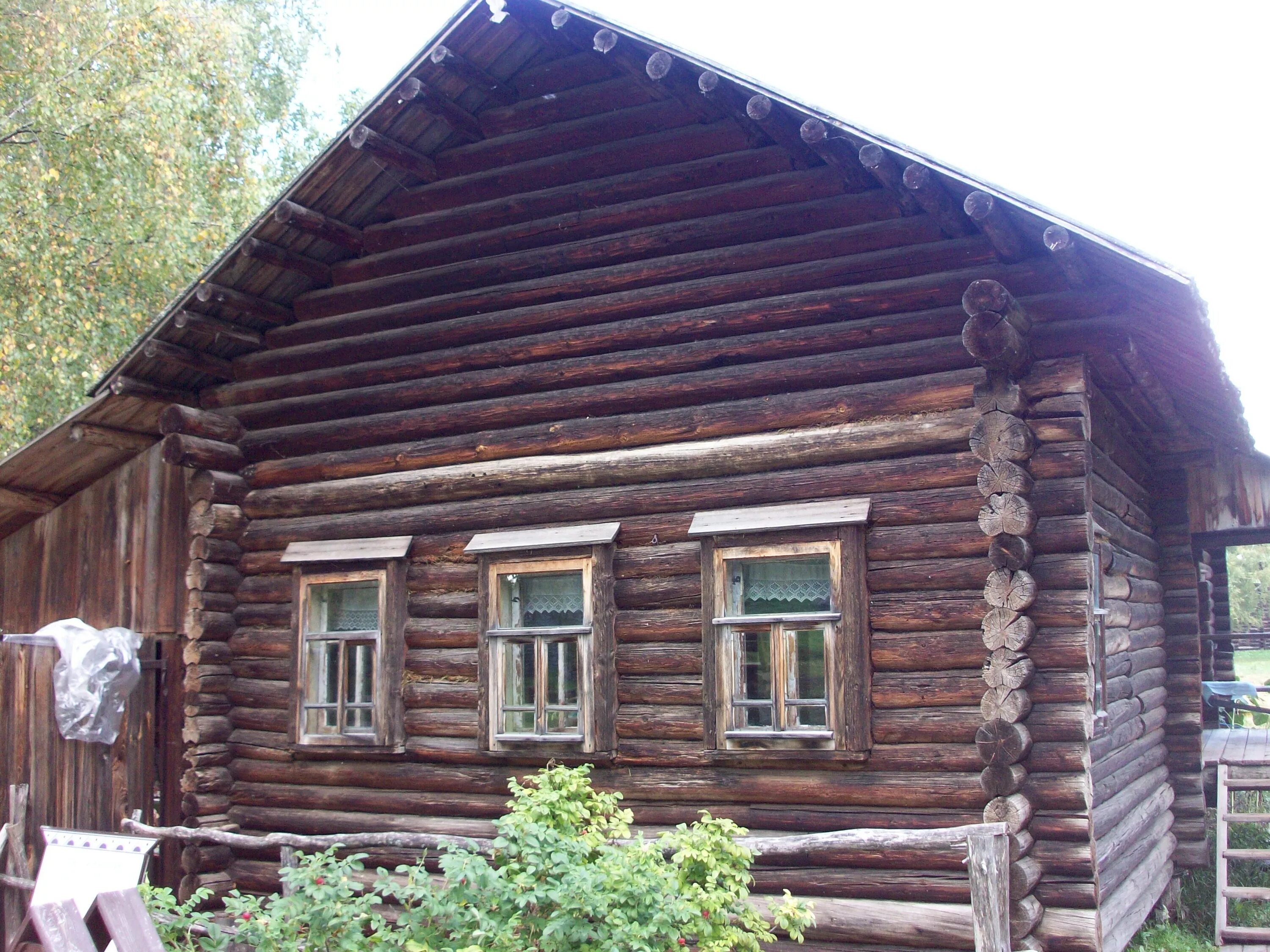 Пятистенок Вологодская Губерния. Русская изба пятистенок. Изба пятистенок планировка. Новгородский пятистенок. Жилища народов твоего края