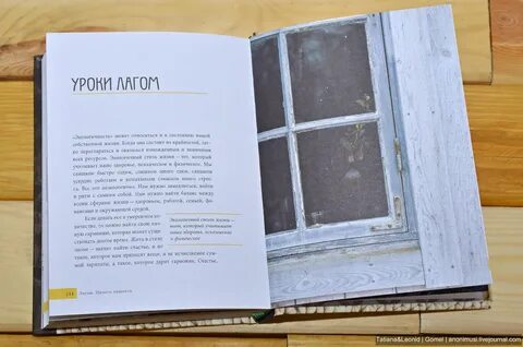 Два лета книга