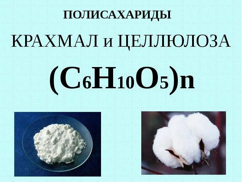 Полимерами не являются гликоген крахмал целлюлоза. Полисахариды крахмал и целлюлоза. презентация на тему крахмал. презентация крахмал и целлюлоза. крахмал химия презентация.