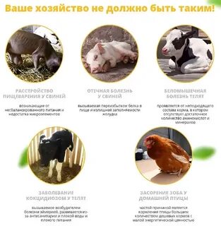 Каким должно быть хозяйство