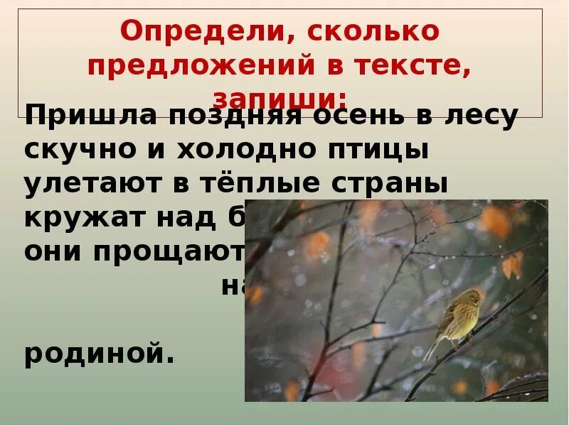 Пришла поздняя осень в лесу стало скучно и холодно птицы улетают. Пришла поздняя осень в лесу стало скучно. Пришла поздняя осень в лесу. Пришла осень в лесу стало скучно и холодно.