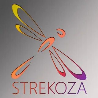 Стрекоза одежда