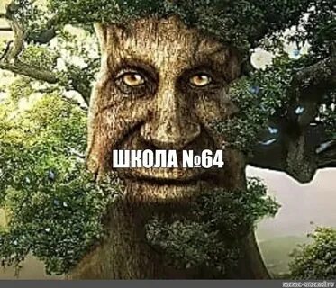 Дуб мем