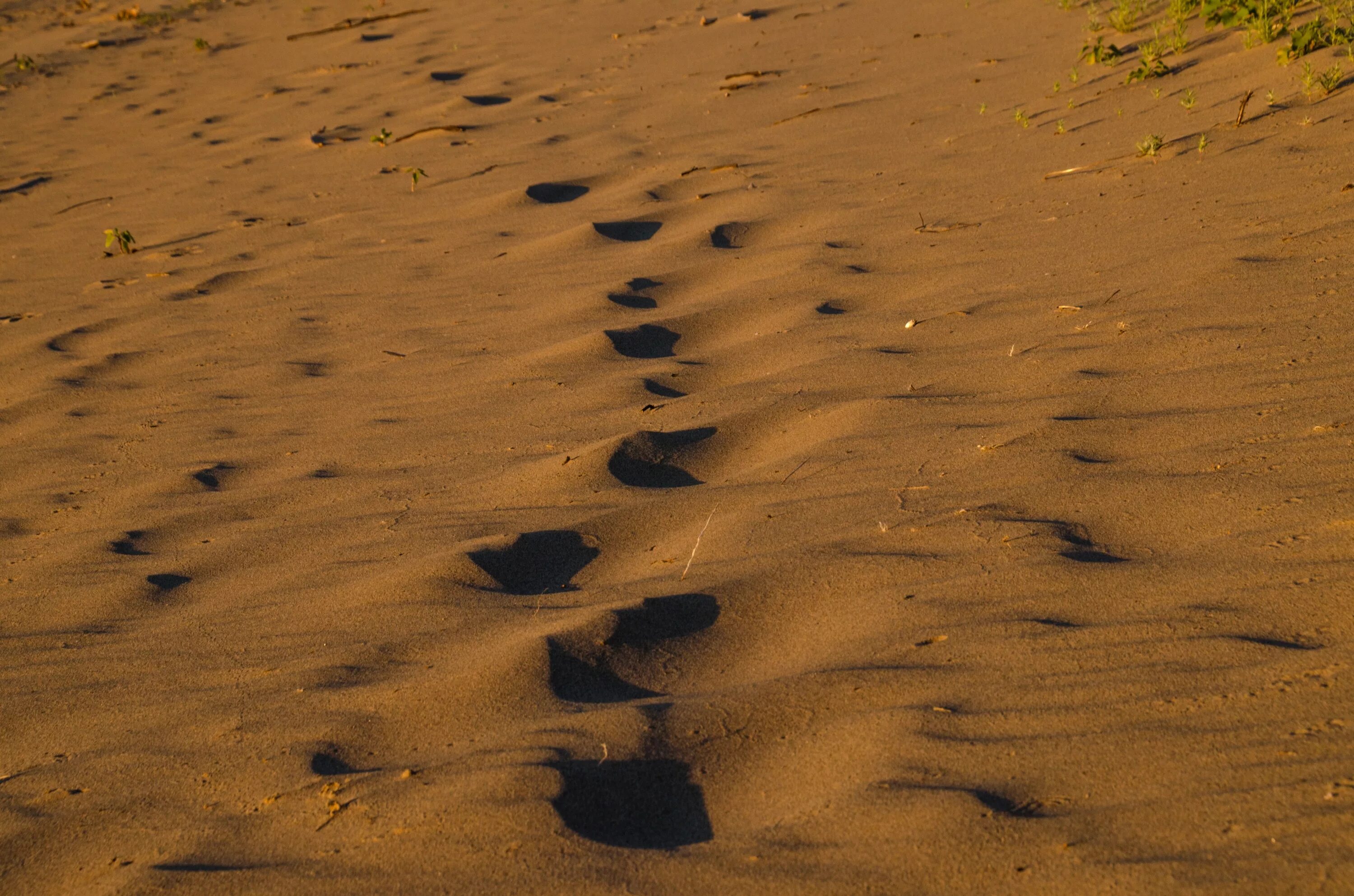 Ддт после меня. Это всё. Что останется после меня картинки. Русский транзит. Ддт это всё.