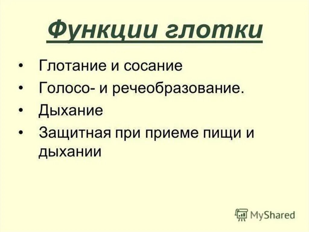Выполняемая функция глотки. Функции глотки. основные функции глотки:. глотка функции кратко. защитная функция глотки.