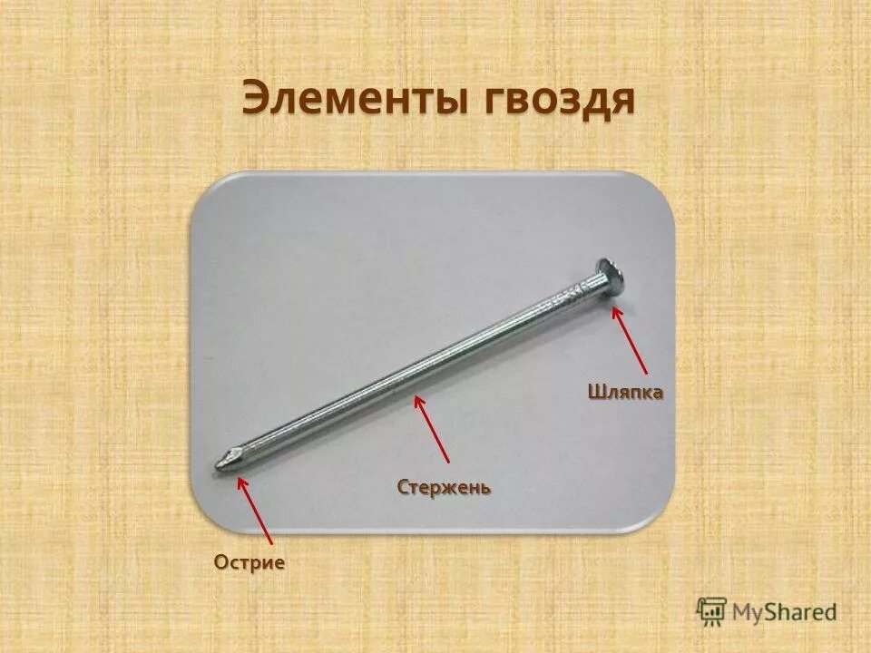 Основные элементы гвоздя. Устройство гвоздя. Стержень гвоздя. Название частей гвоздя. Гвоздь на английском