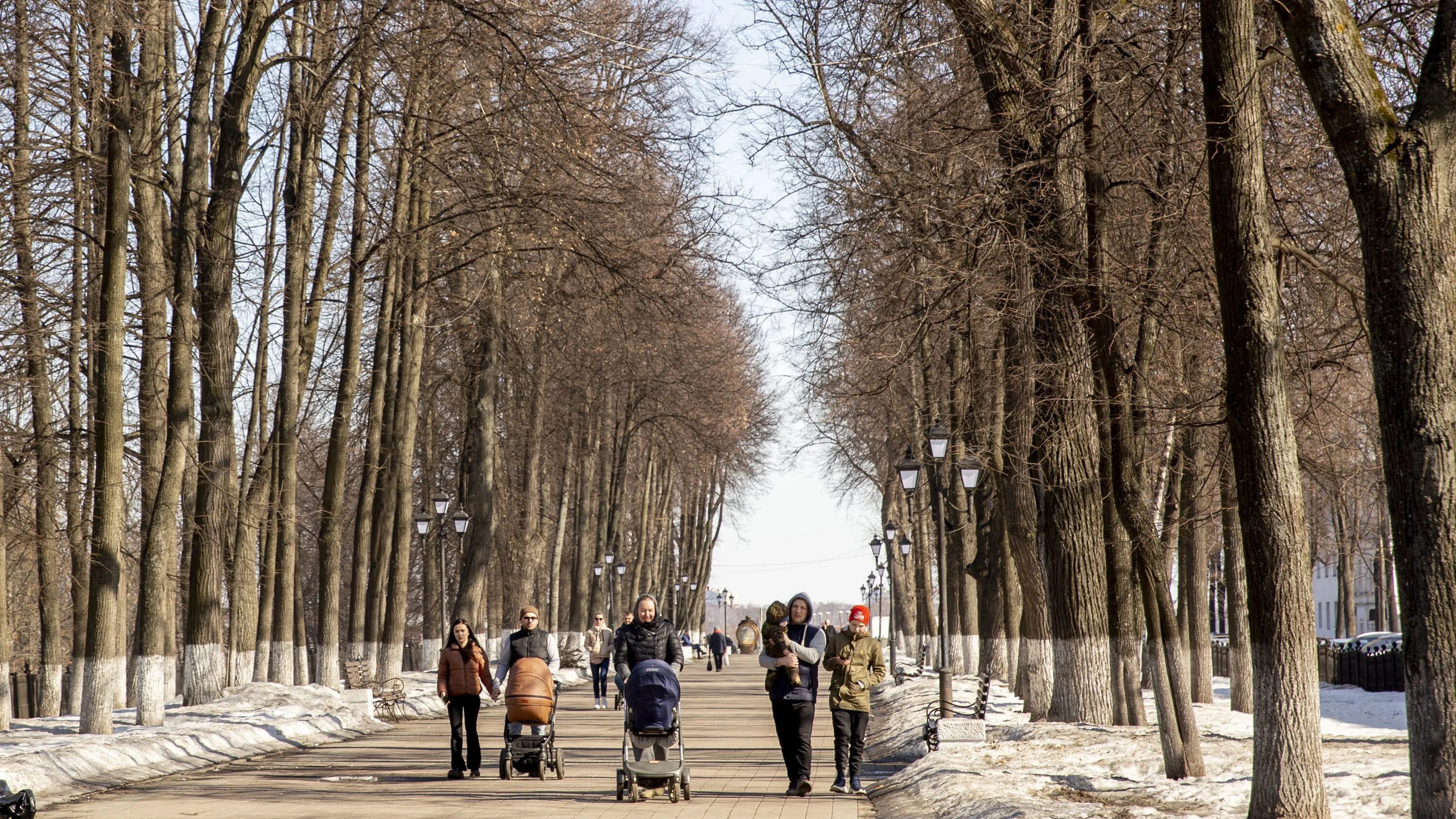 Погода в апреле в ярославле 2024. Ярославль в апреле. Апрель в Москве. Ярославль в апреле фото. Середина апреля в Ярославле.