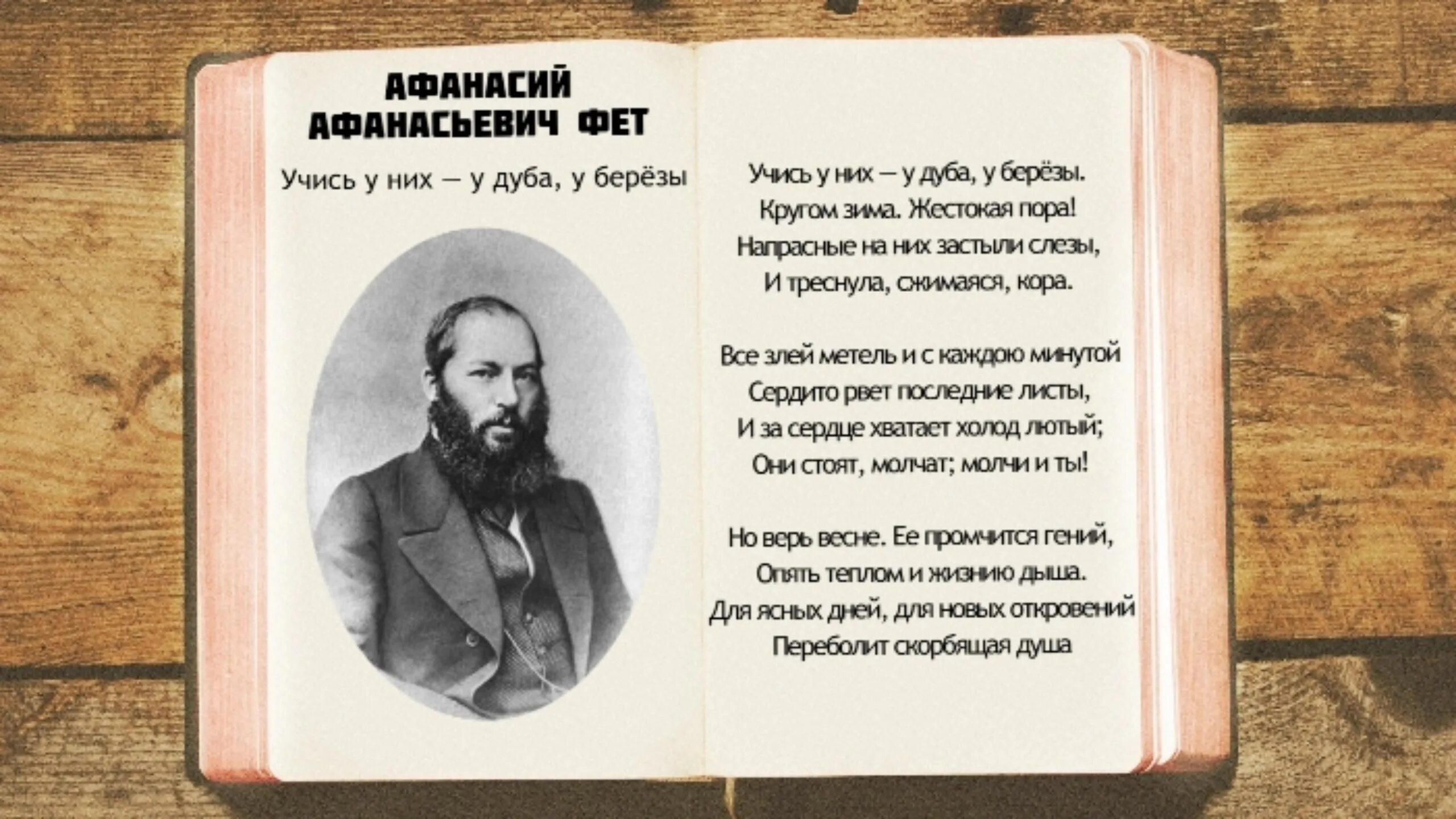 История стихотворения фета. Стихотворения. Фет а.а.. Стих Фета прозвучало над Ясной рекою.