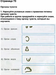 Органы чувств нарисуйте условные знаки к правилам