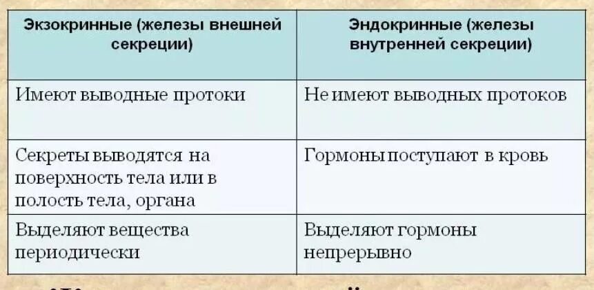 Сходство желез внешней и внутренней секреции