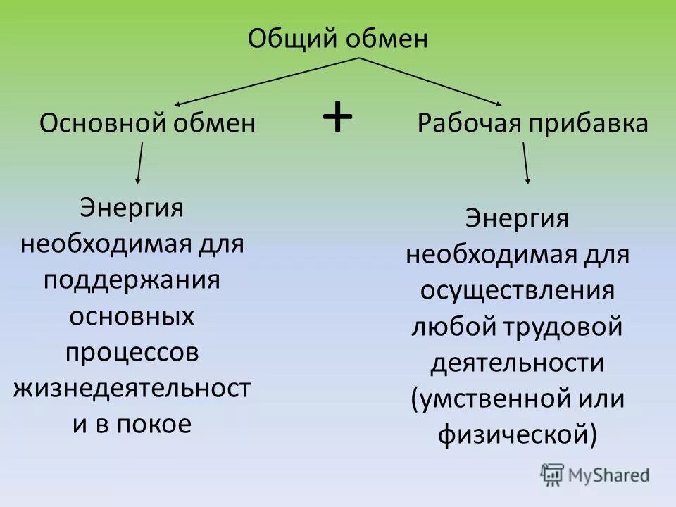 Основной и общий обмен веществ. Общий обмен физиология. Общий обмен энергии. Основной обмен и общий обмен. Различия в обмене веществ