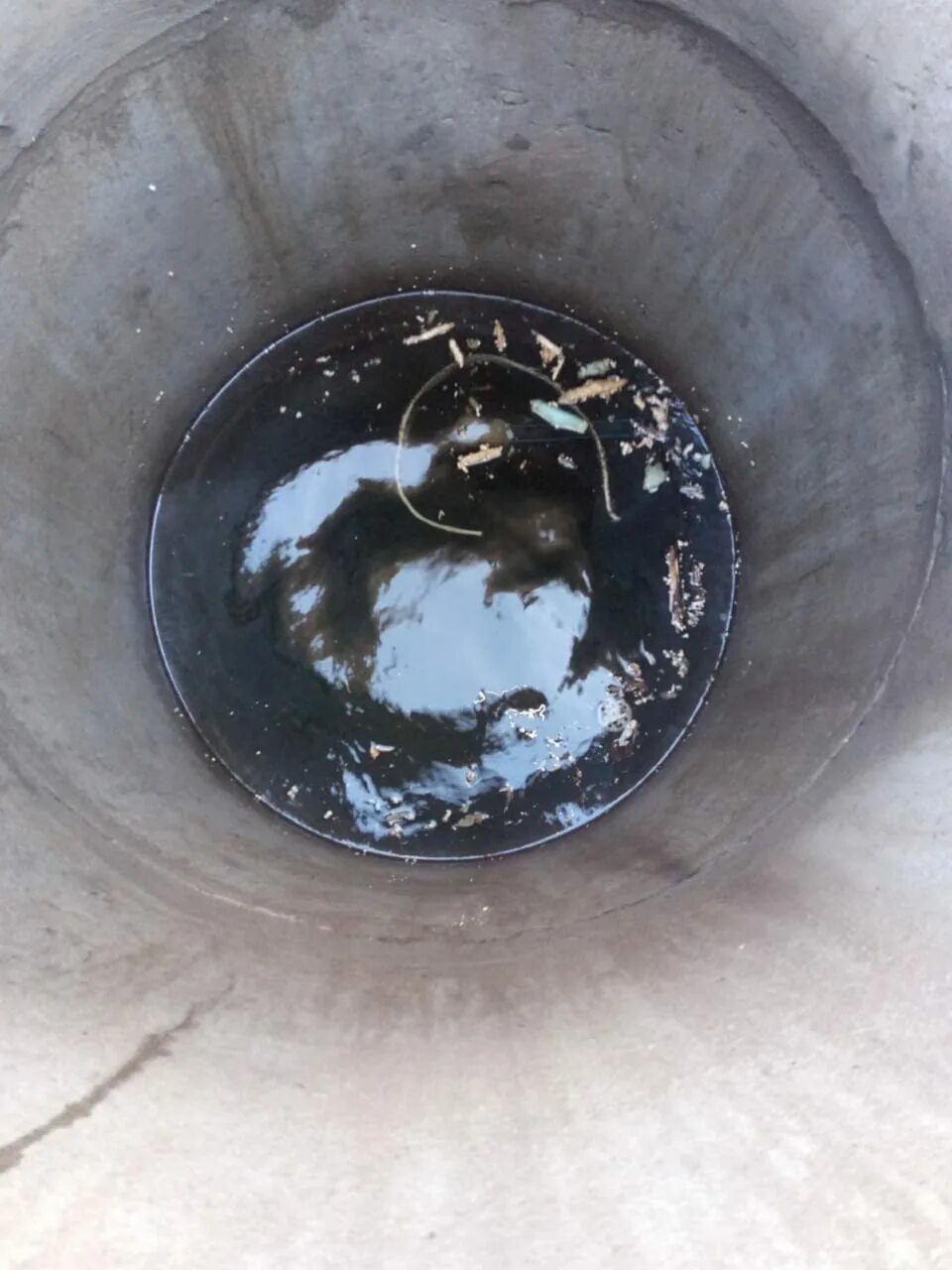 старинный колодец. существа обитающие в канализации. жаба в колодце. люк канализации. существа живущие в колодцах.