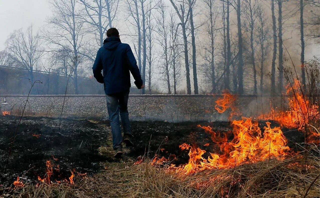 Отражались костры. Человек поджигает лес. Пожар в лесу. Виновник лесного пожара. Поджигатель леса.
