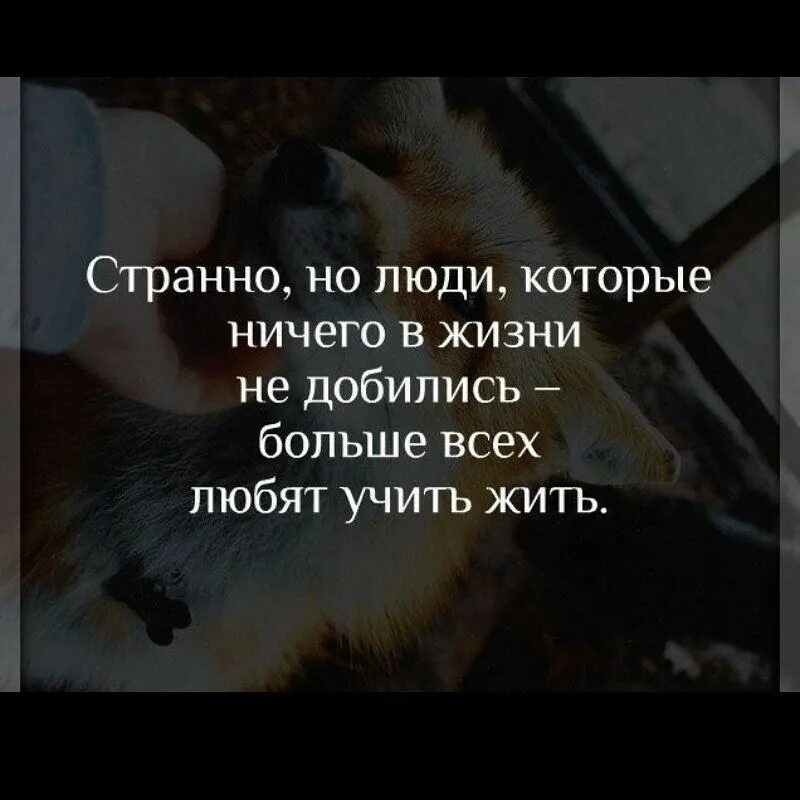 Учить цитаты. Не учи других жить цитаты. учат жить афоризмы. не учите людей жить цитаты. цитаты про людей которые учат жить.