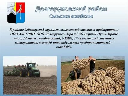 Сельское хозяйство крупные центры